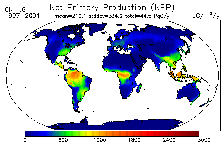 Net Primary Production for CN Experiment 1.6