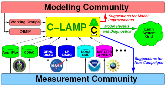 C-LAMP Organization