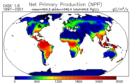 Net Primary Production for CASA′ Experiment 1.6