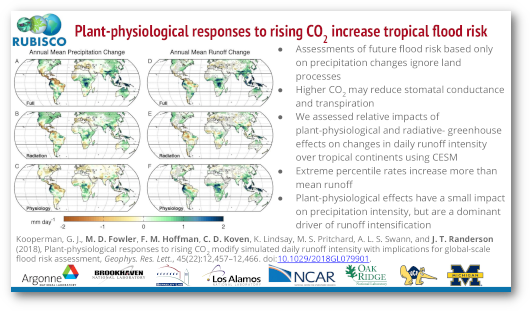 Plant-physiological responses to rising CO2 increase tropical flood risk